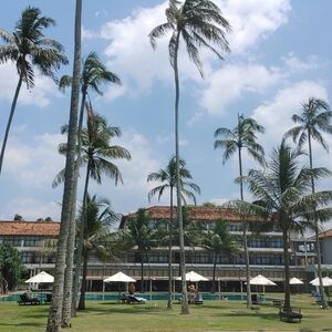 Meet your Posher, Hasara